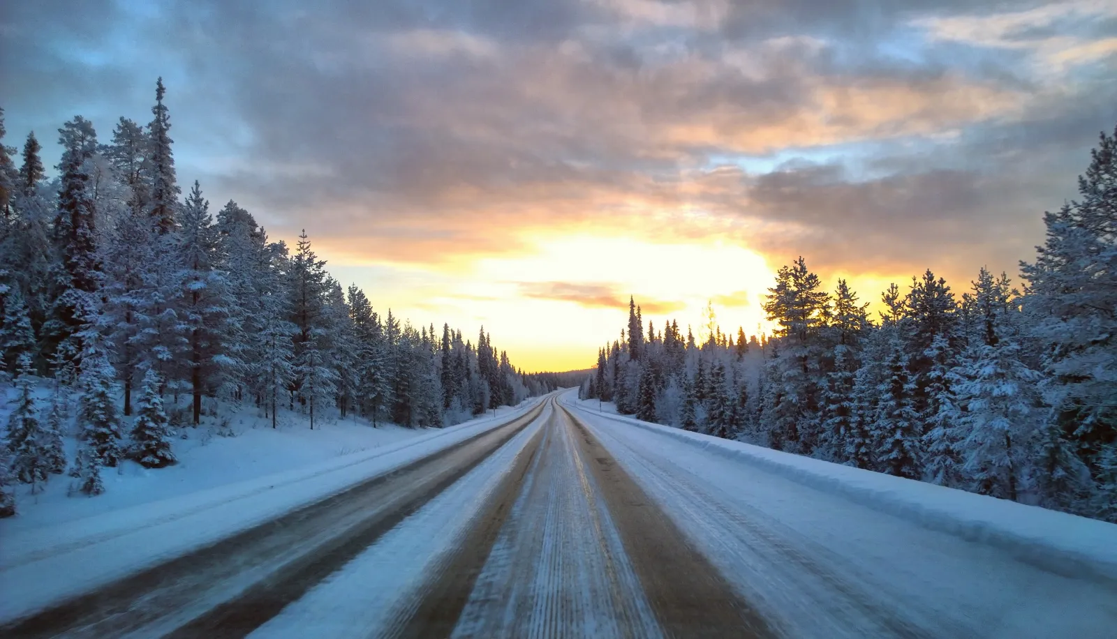 Packed snow on a forest road in Finland at low winter sun